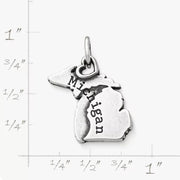 My "Michigan" Charm