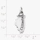 My "Illinois" Charm