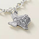 Texas Landscape Charm