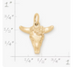 Desert Rose Charm