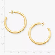 Fiesta Hoops