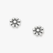 Margarita Studs
