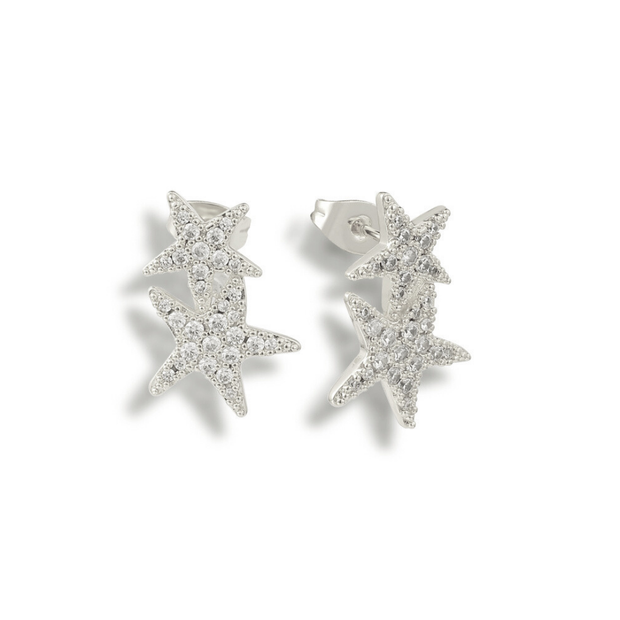 Hidden in the Sand Earrings - EVRYJEWELS