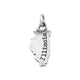 My "Illinois" Charm