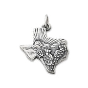 Texas Landscape Charm