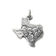 Texas Landscape Charm