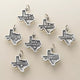 "Corpus Christi" Charm