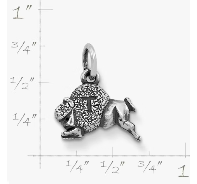 Tonk Charm
