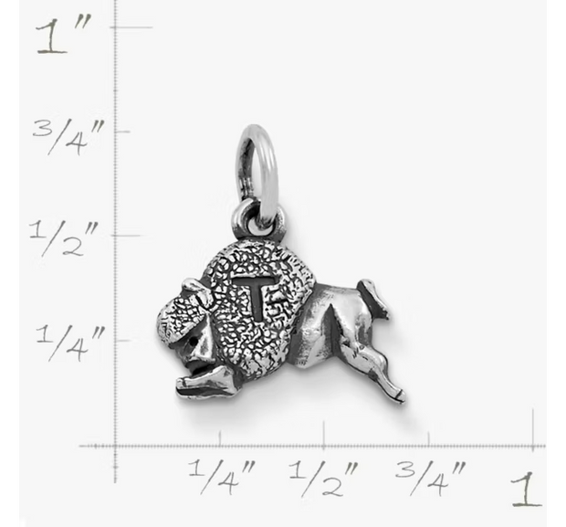 Tonk Charm