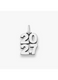 Year Charm