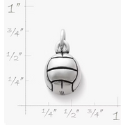 Ladybug Charm